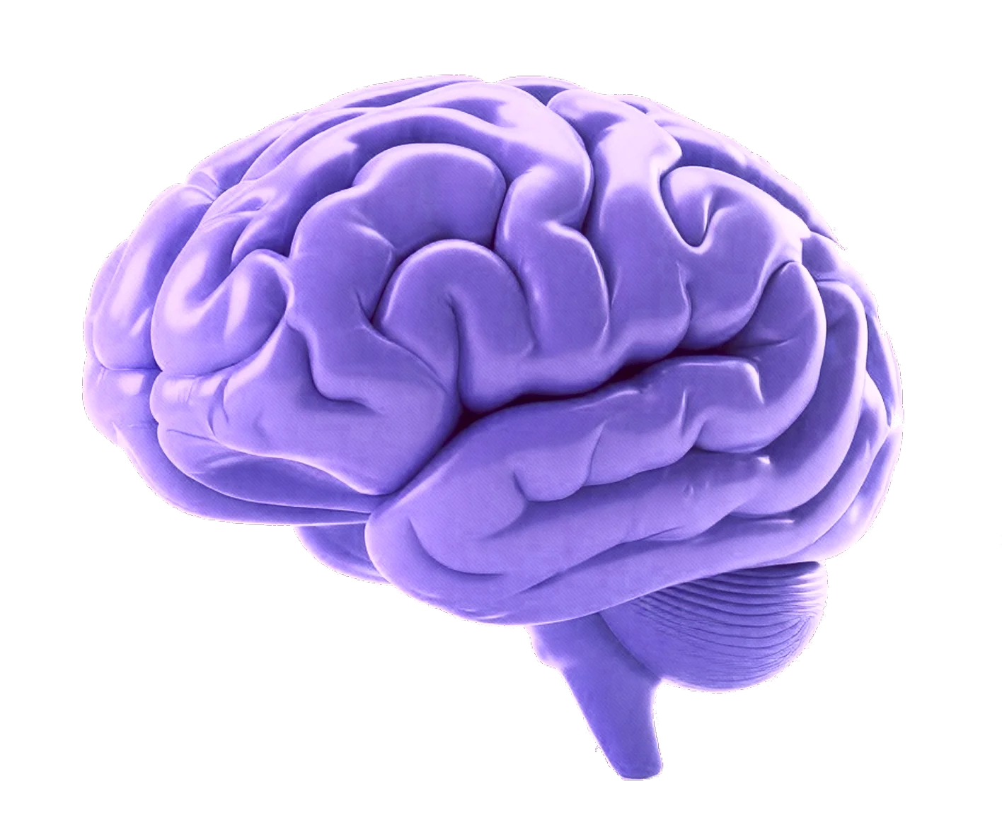 AI Chat System - Schooliee School Management System